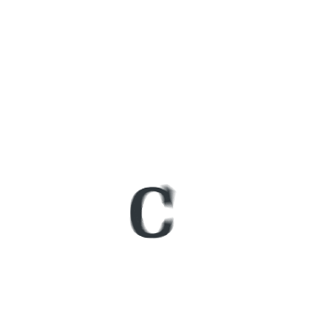 Carmistin Grup