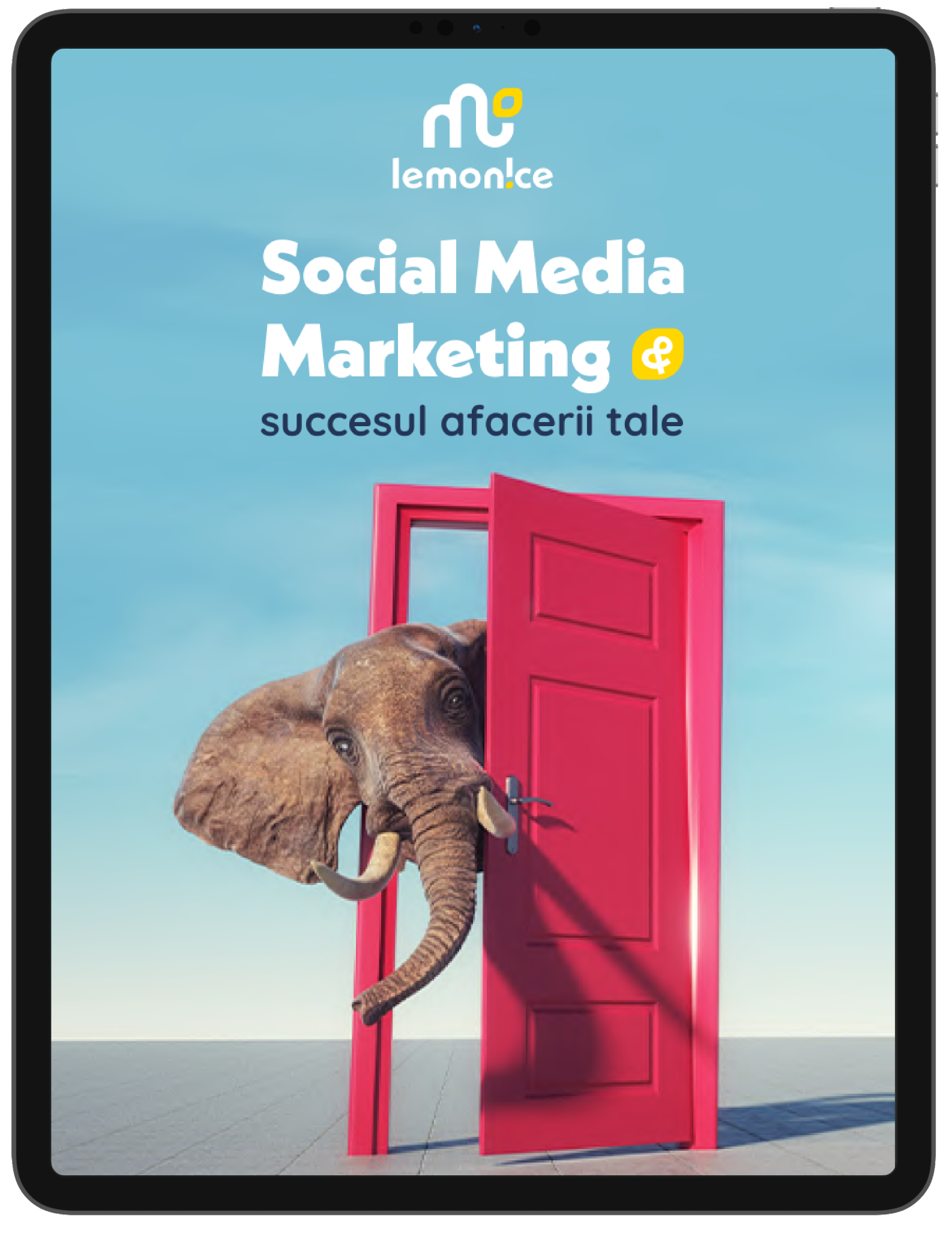 Social Media Marketing & Succesul Afacerii Tale