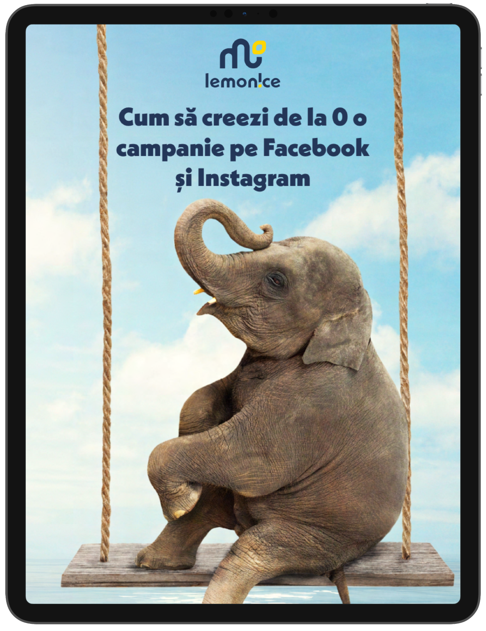 Cum Sã Creezi De La 0 O Campanie Pe Facebook Si Instagram